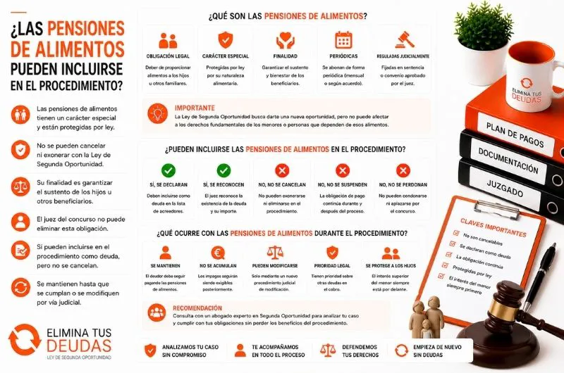 pensión de alimentos segunda oportunidad