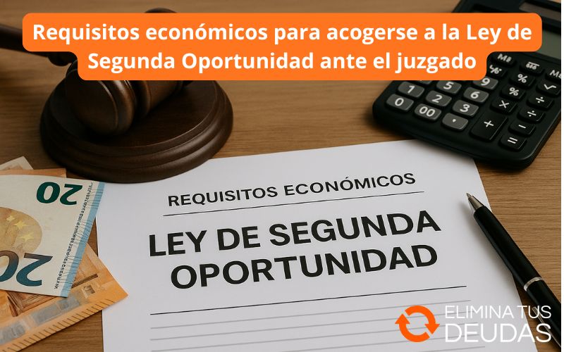 Requisitos económicos para acogerse a la Ley de Segunda Oportunidad ante el juzgado